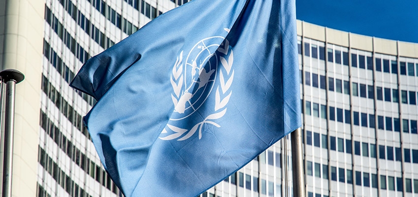 La Convención de las Naciones Unidas Contra la Delincuencia Organizada Transnacional